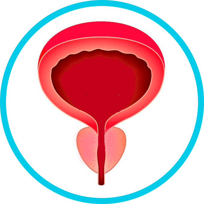 Preventie van prostatitis